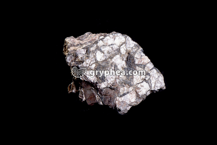 Mica - gryphea.com